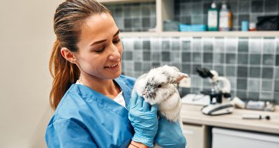 BVA seeks nominations for Young Vet of the Year award